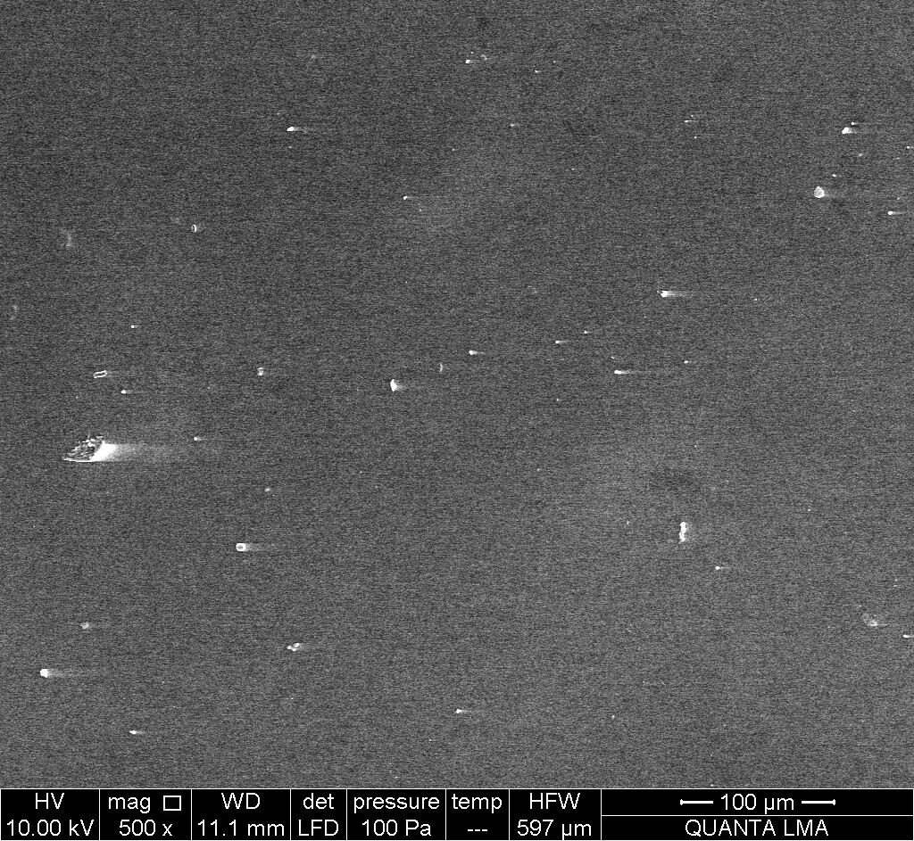 Chitosan