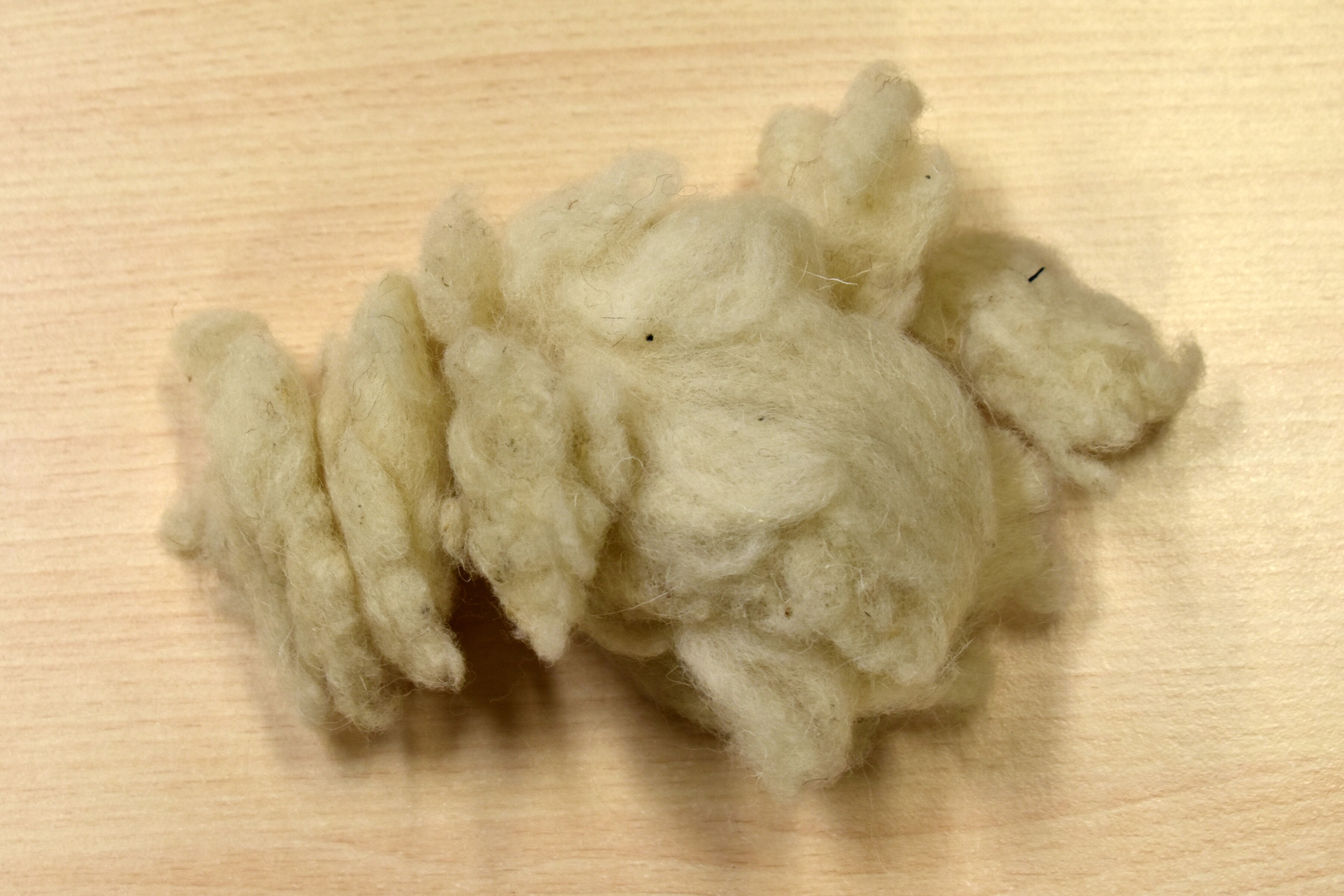Rustic Wool